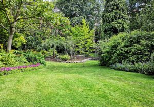 Optimiser l'expérience du jardin à Fontaine