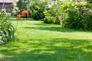 travaux jardin et paysage Fontaine